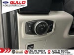 2016 F-150 Thumbnail 19