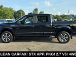 2019 F-150 Thumbnail 5