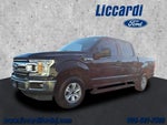 2019 F-150 Thumbnail 17