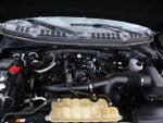 2019 F-150 Thumbnail 5