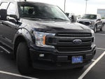 2019 F-150 Thumbnail 8