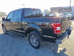 2019 F-150 Thumbnail 4