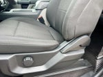 2019 F-150 Thumbnail 13
