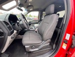 2019 F-150 Thumbnail 14