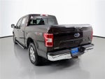 2019 F-150 Thumbnail 4