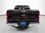 2019 F-150 Thumbnail 5