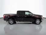 2019 F-150 Thumbnail 7
