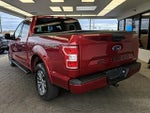 2019 F-150 Thumbnail 4