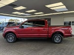 2019 F-150 Thumbnail 5