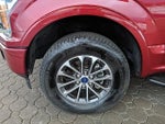 2019 F-150 Thumbnail 6