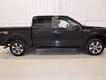 2019 F-150 Thumbnail 2