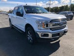 2020 F-150 Thumbnail 7
