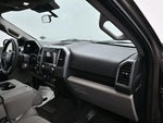 2020 F-150 Thumbnail 8