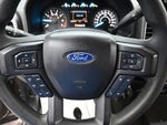 2020 F-150 Thumbnail 13