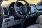 2020 F-150 Thumbnail 2