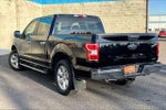 2020 F-150 Thumbnail 4