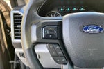2020 F-150 Thumbnail 24