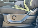 2020 F-150 Thumbnail 12