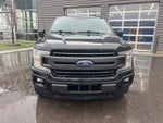 2020 F-150 Thumbnail 2