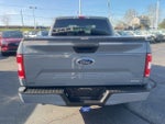 2020 F-150 Thumbnail 6