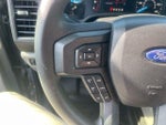 2020 F-150 Thumbnail 13