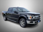 2020 F-150 Thumbnail 3
