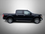 2020 F-150 Thumbnail 4