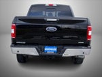 2020 F-150 Thumbnail 6