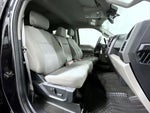 2020 F-150 Thumbnail 16
