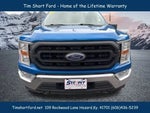 2021 F-150 Thumbnail 8