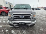 2021 F-150 Thumbnail 2
