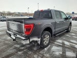 2021 F-150 Thumbnail 4