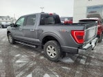 2021 F-150 Thumbnail 6