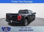 2021 F-150 Thumbnail 8