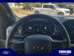 2021 F-150 Thumbnail 6