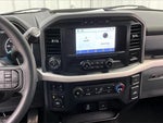 2021 F-150 Thumbnail 6