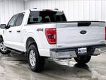 2021 F-150 Thumbnail 11