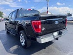 2021 F-150 Thumbnail 4