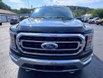 2021 F-150 Thumbnail 5