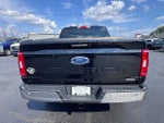 2021 F-150 Thumbnail 6