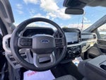 2021 F-150 Thumbnail 11