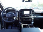 2021 F-150 Thumbnail 21