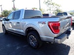 2021 F-150 Thumbnail 6