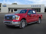 2021 F-150 Thumbnail 1