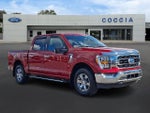 2021 F-150 Thumbnail 3