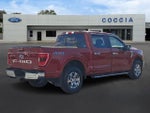 2021 F-150 Thumbnail 4