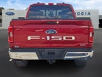 2021 F-150 Thumbnail 5