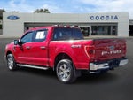 2021 F-150 Thumbnail 6