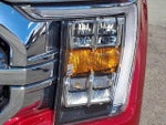 2021 F-150 Thumbnail 9