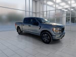 2021 F-150 Thumbnail 2